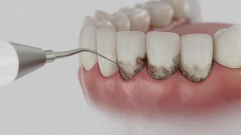 Reliable Dental contractor in Ovid, MI by Dentist Open Now